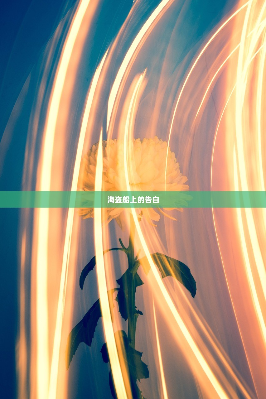海盗船上的告白