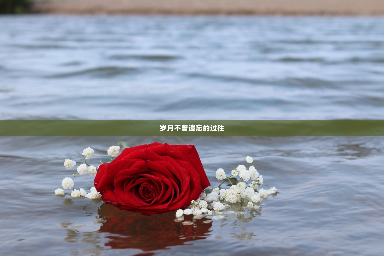 岁月不曾遗忘的过往