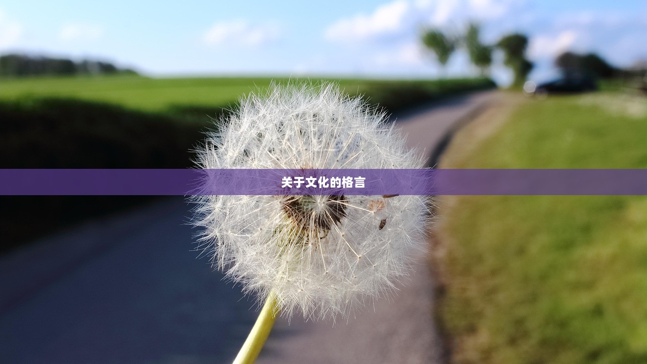 关于文化的格言