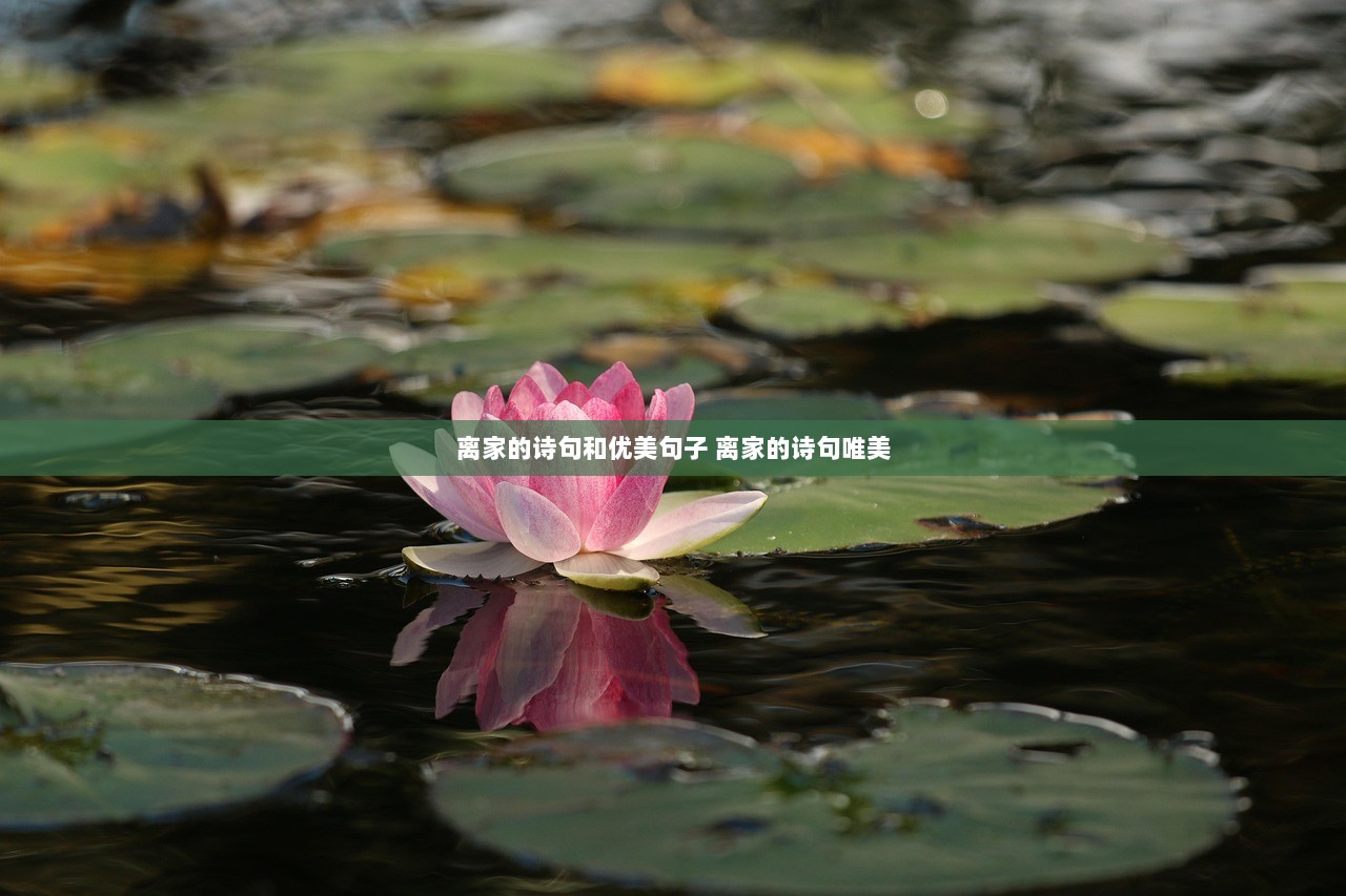 离家的诗句和优美句子 离家的诗句唯美