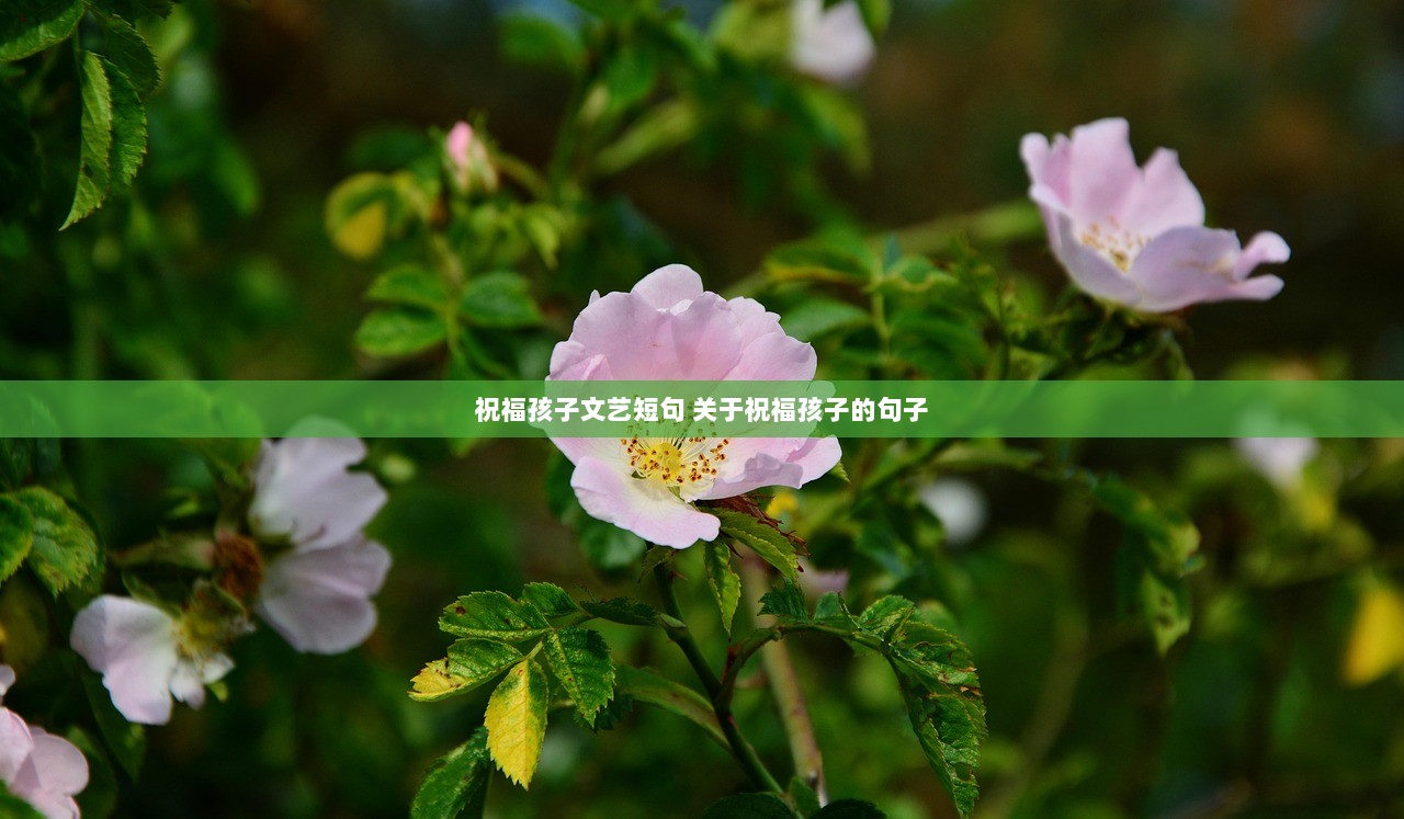 祝福孩子文艺短句 关于祝福孩子的句子