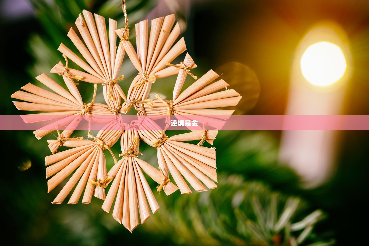 逆境是金