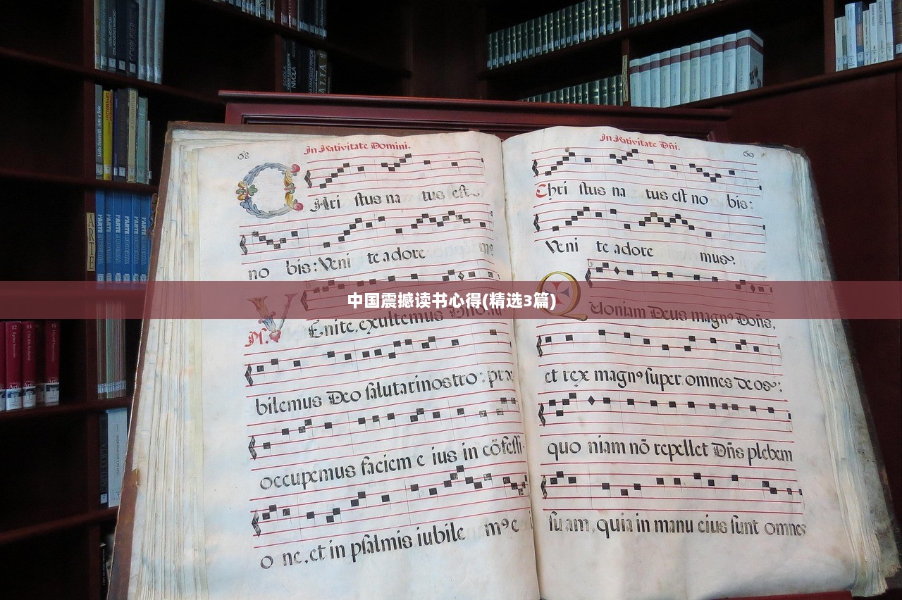 中国震撼读书心得(精选3篇)