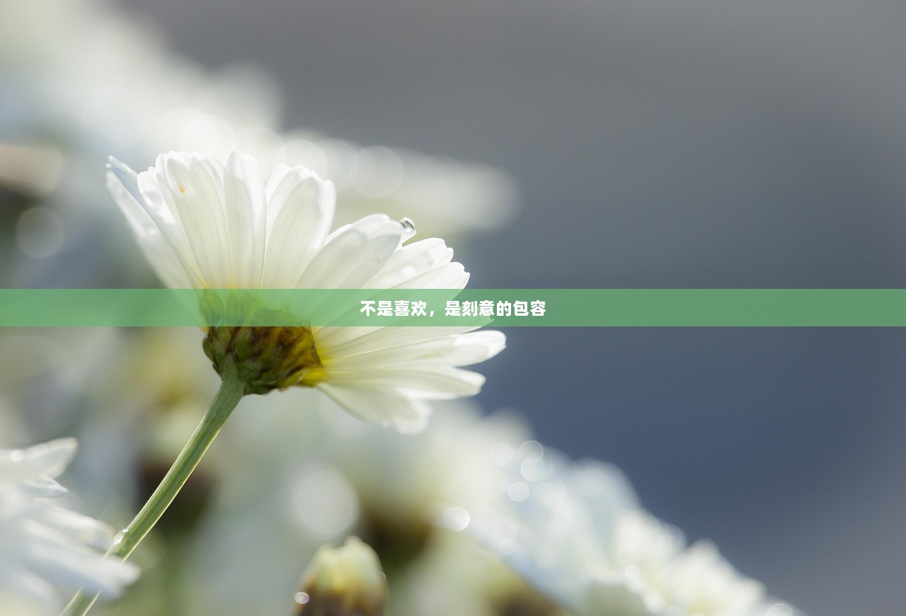 不是喜欢，是刻意的包容