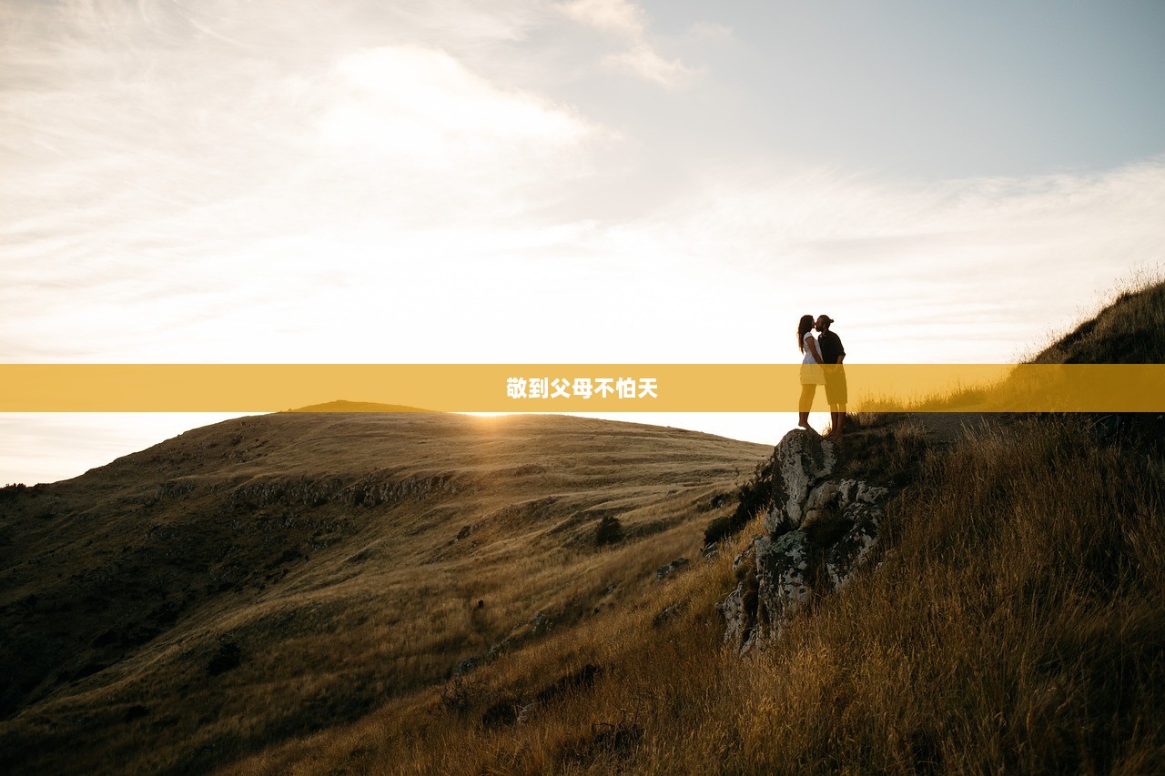 敬到父母不怕天  第1张