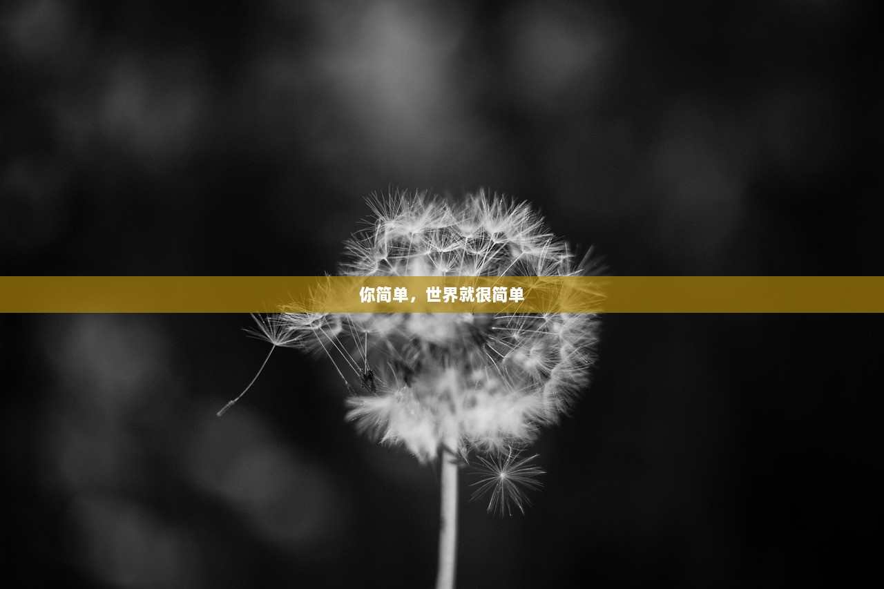 你简单，世界就很简单