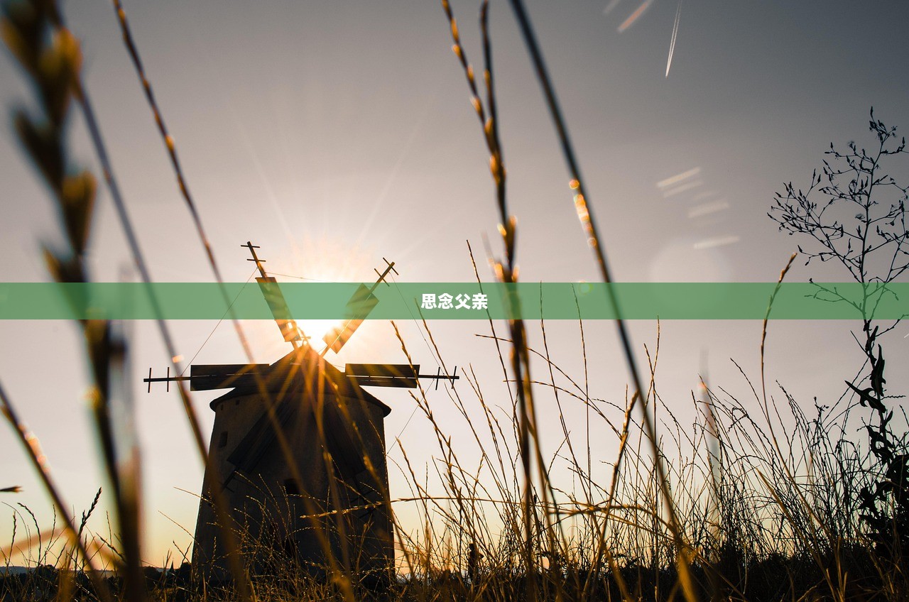 思念父亲