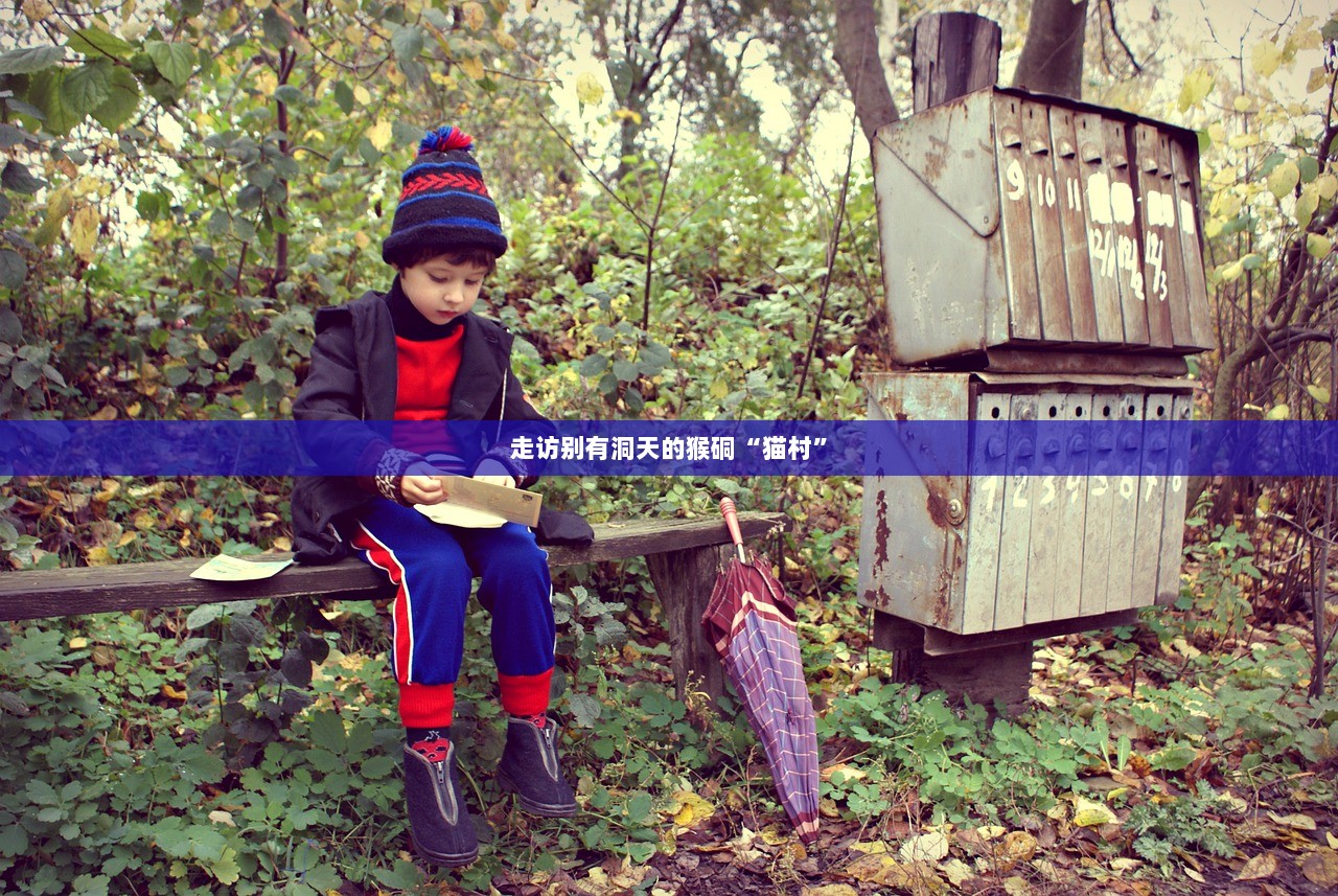 走访别有洞天的猴硐“猫村”