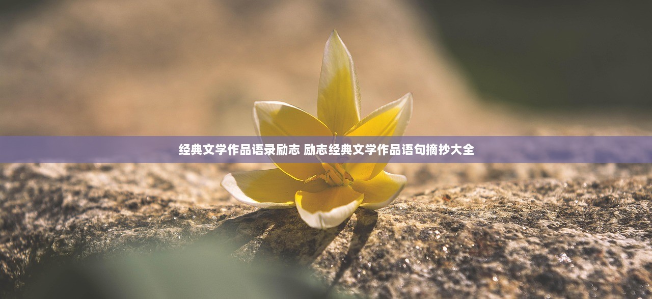 经典文学作品语录励志 励志经典文学作品语句摘抄大全