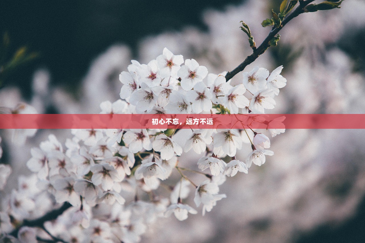 初心不忘，远方不远
