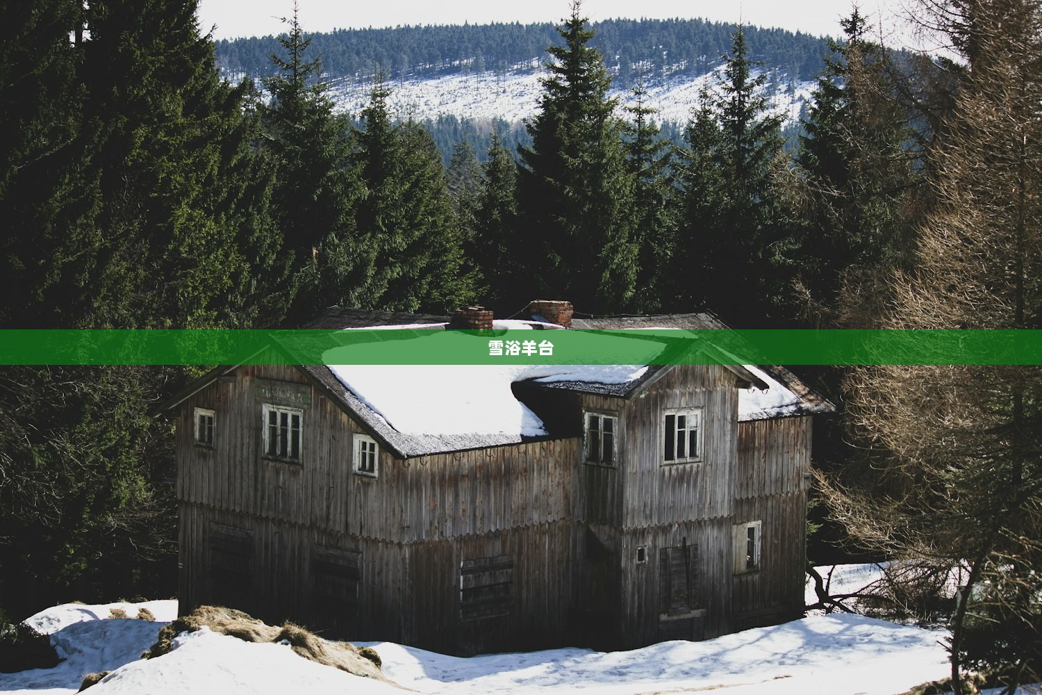 雪浴羊台  第1张