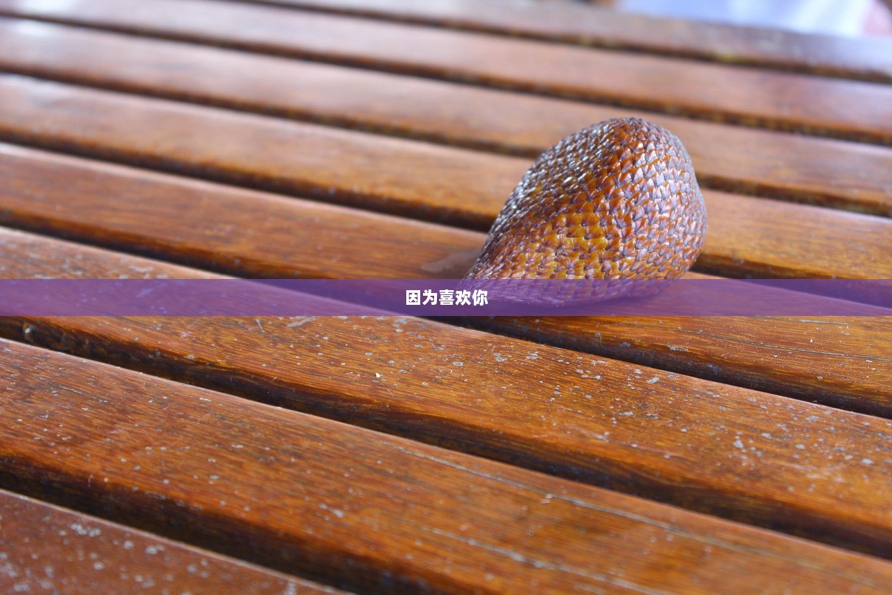 因为喜欢你  第1张