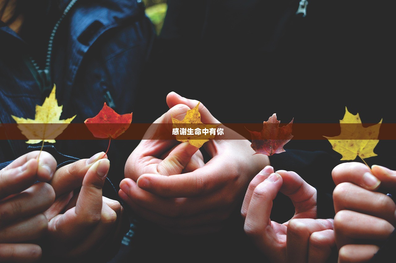 感谢生命中有你