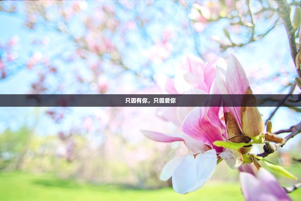 只因有你，只因爱你