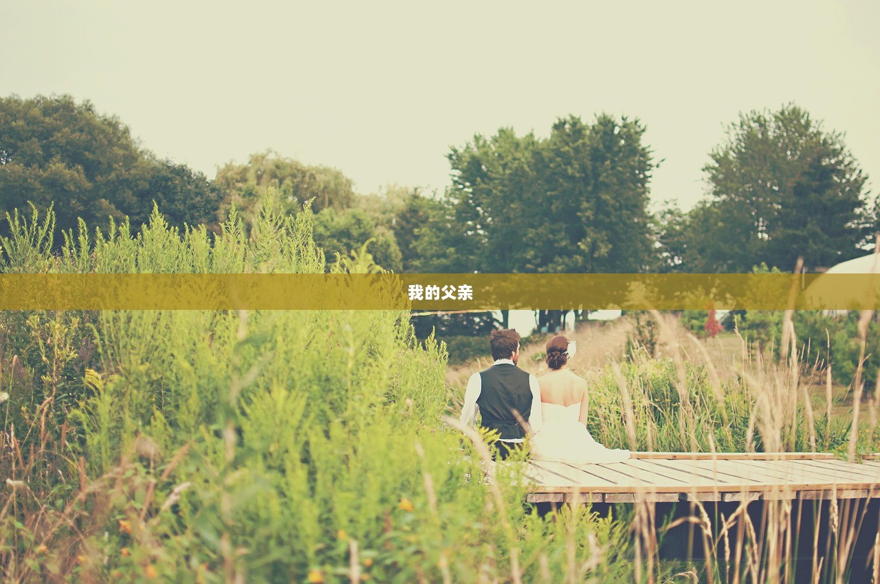 我的父亲