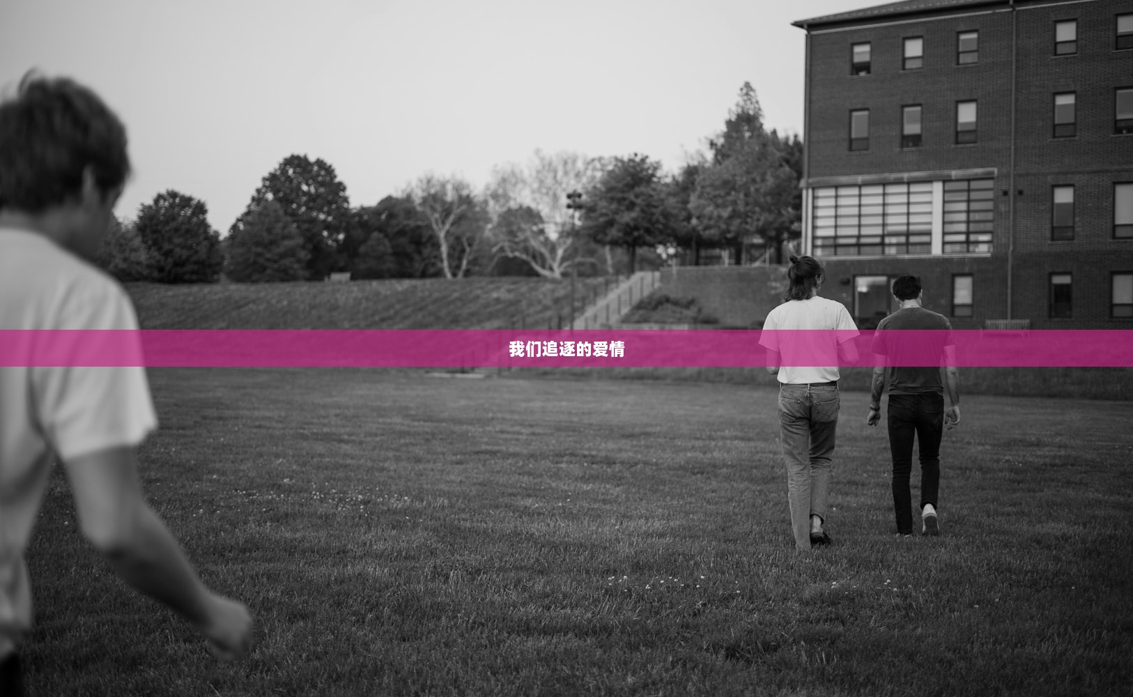 我们追逐的爱情