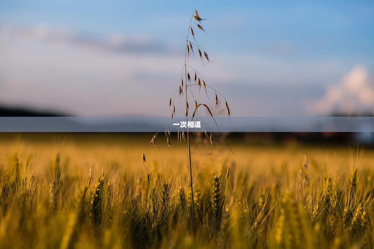 一次相遇  第1张