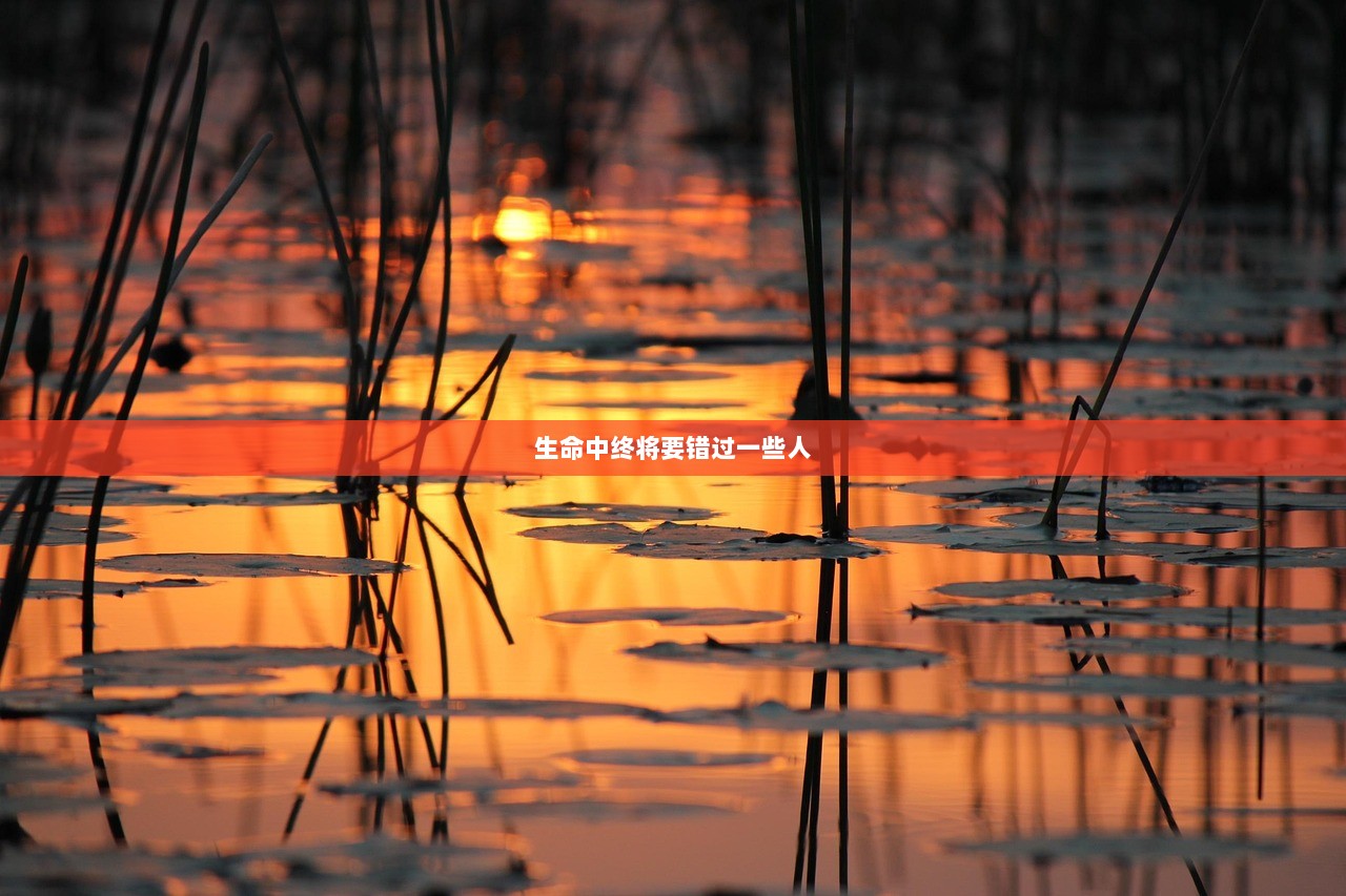 生命中终将要错过一些人  第1张