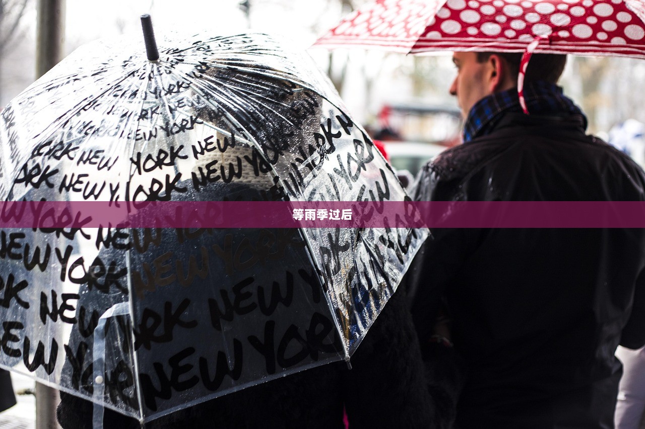 等雨季过后  第1张