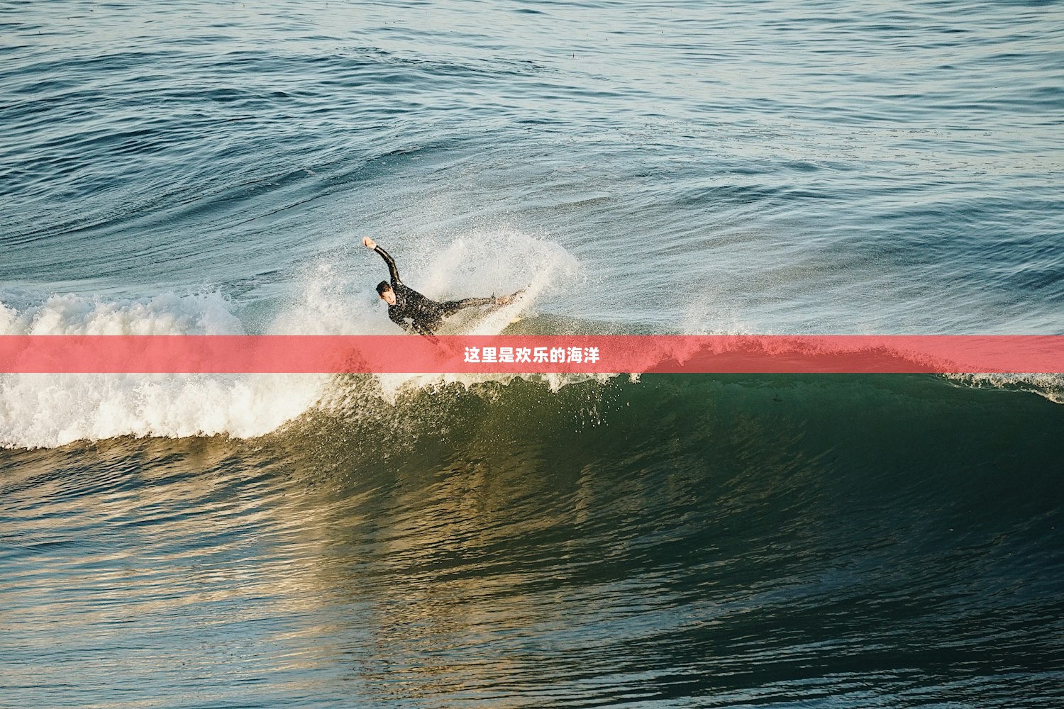这里是欢乐的海洋