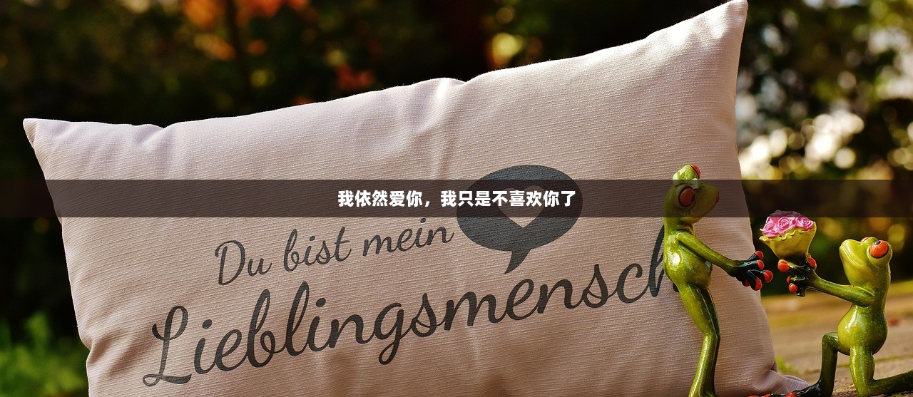 我依然爱你，我只是不喜欢你了