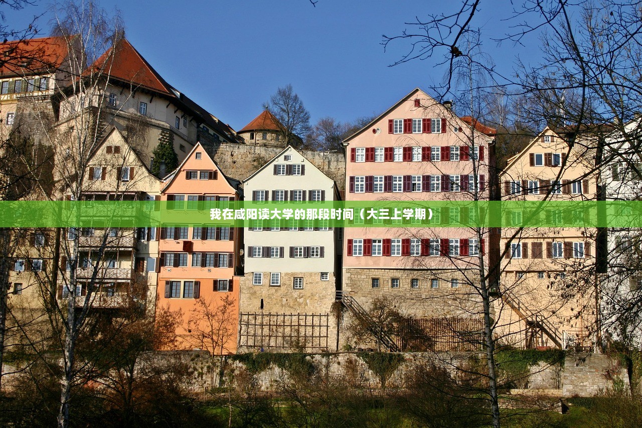 我在咸阳读大学的那段时间（大三上学期）