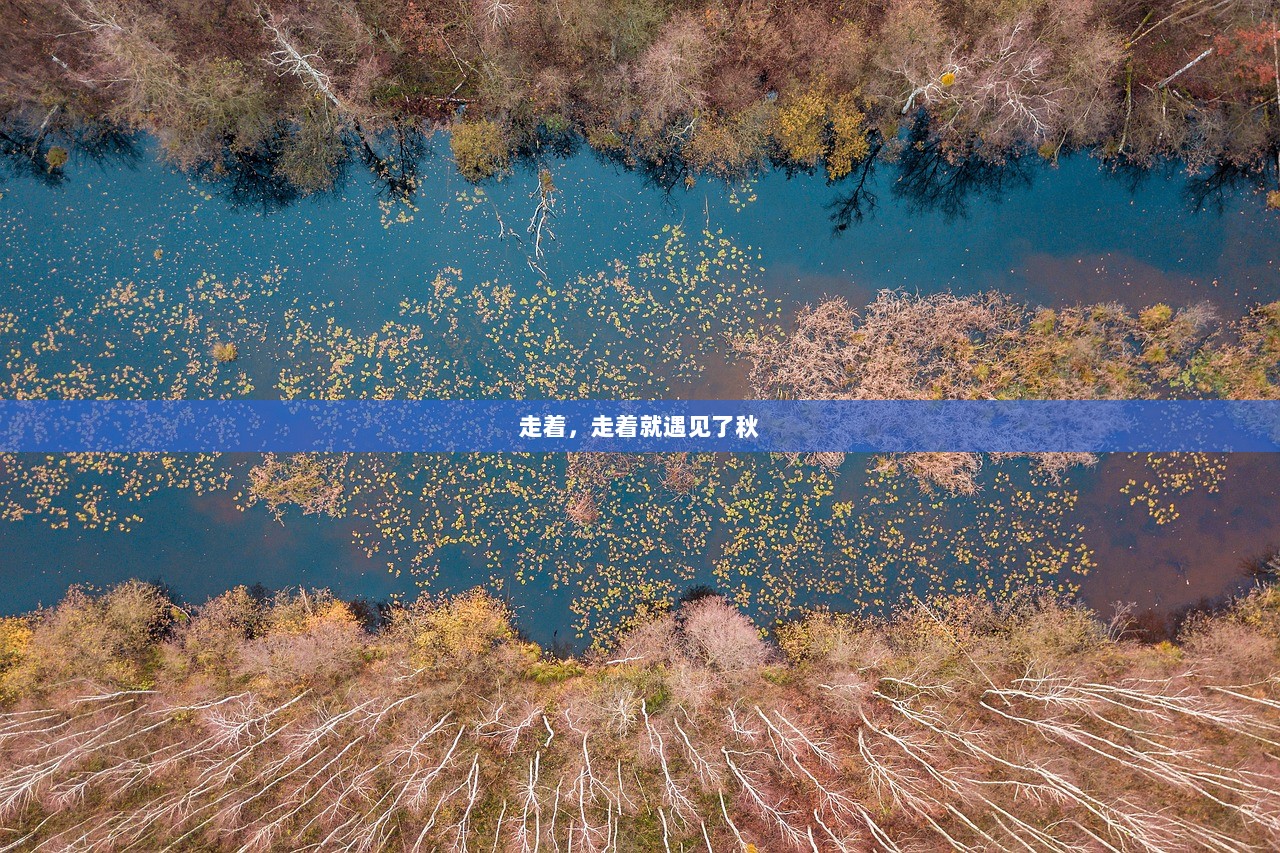 走着，走着就遇见了秋