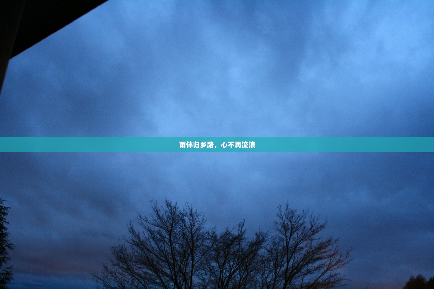 雨伴归乡路，心不再流浪