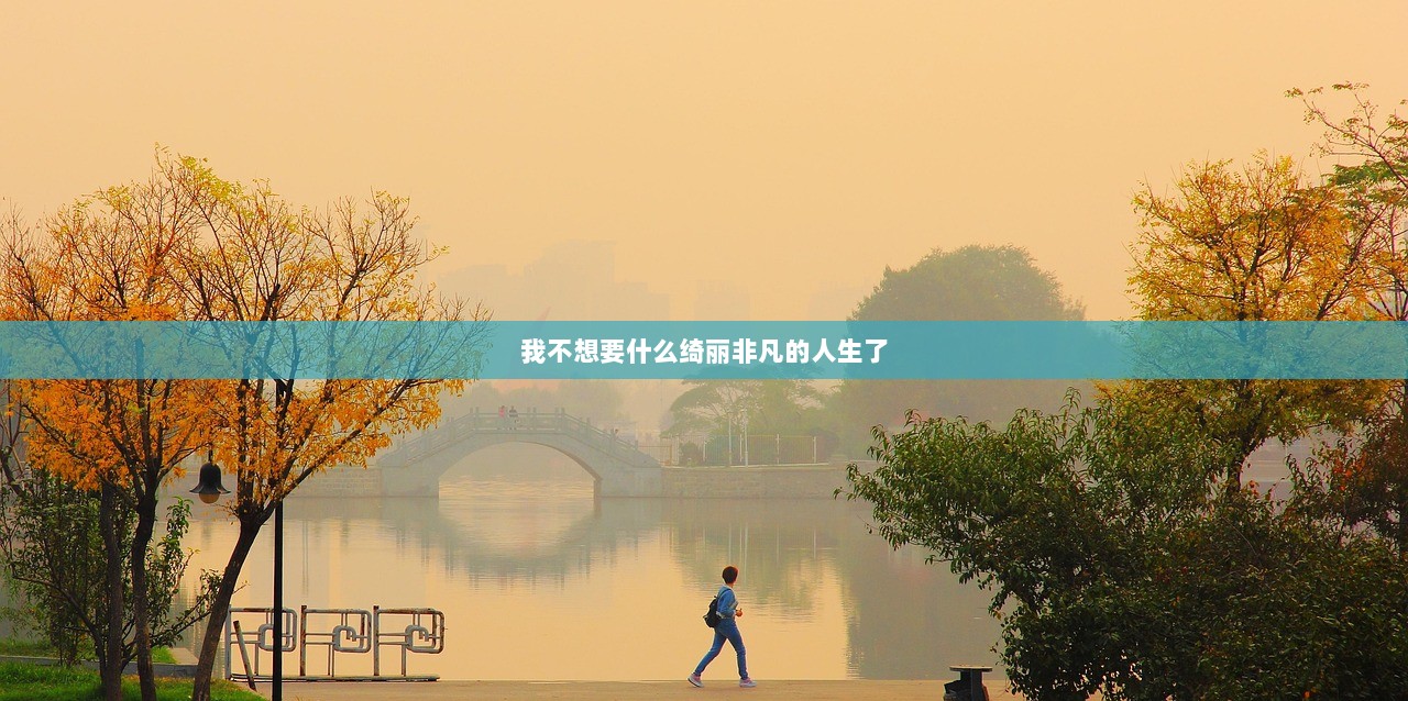 我不想要什么绮丽非凡的人生了