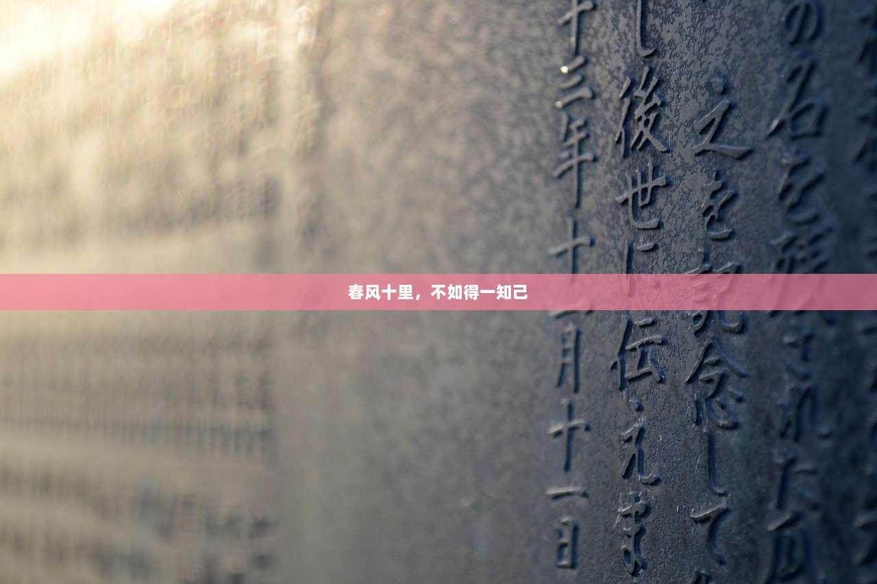 春风十里，不如得一知己