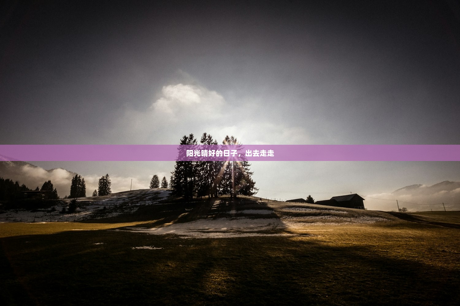 阳光晴好的日子，出去走走