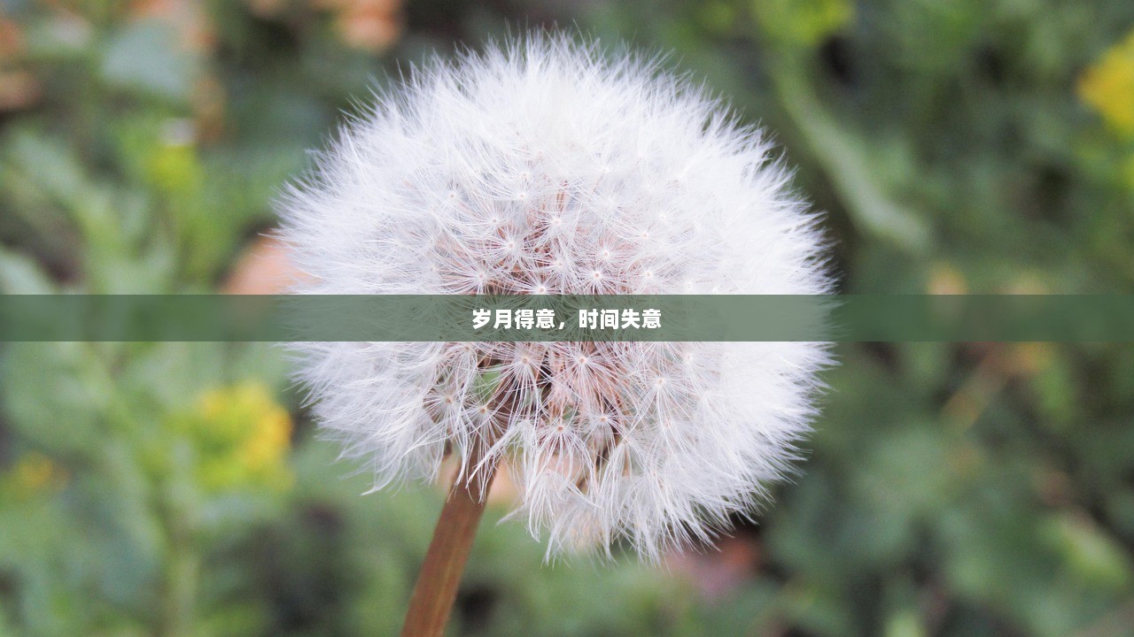 岁月得意，时间失意