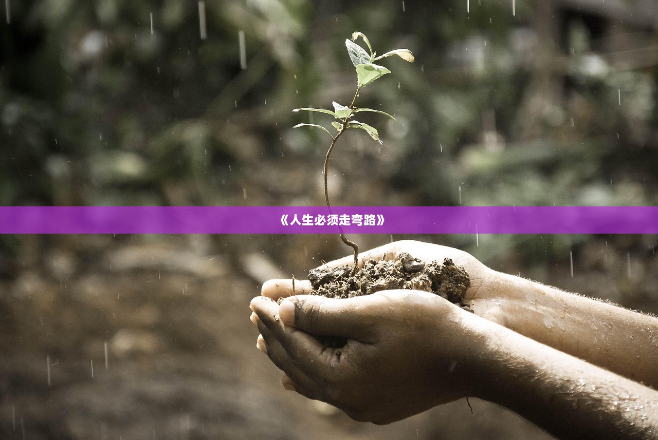 《人生必须走弯路》
