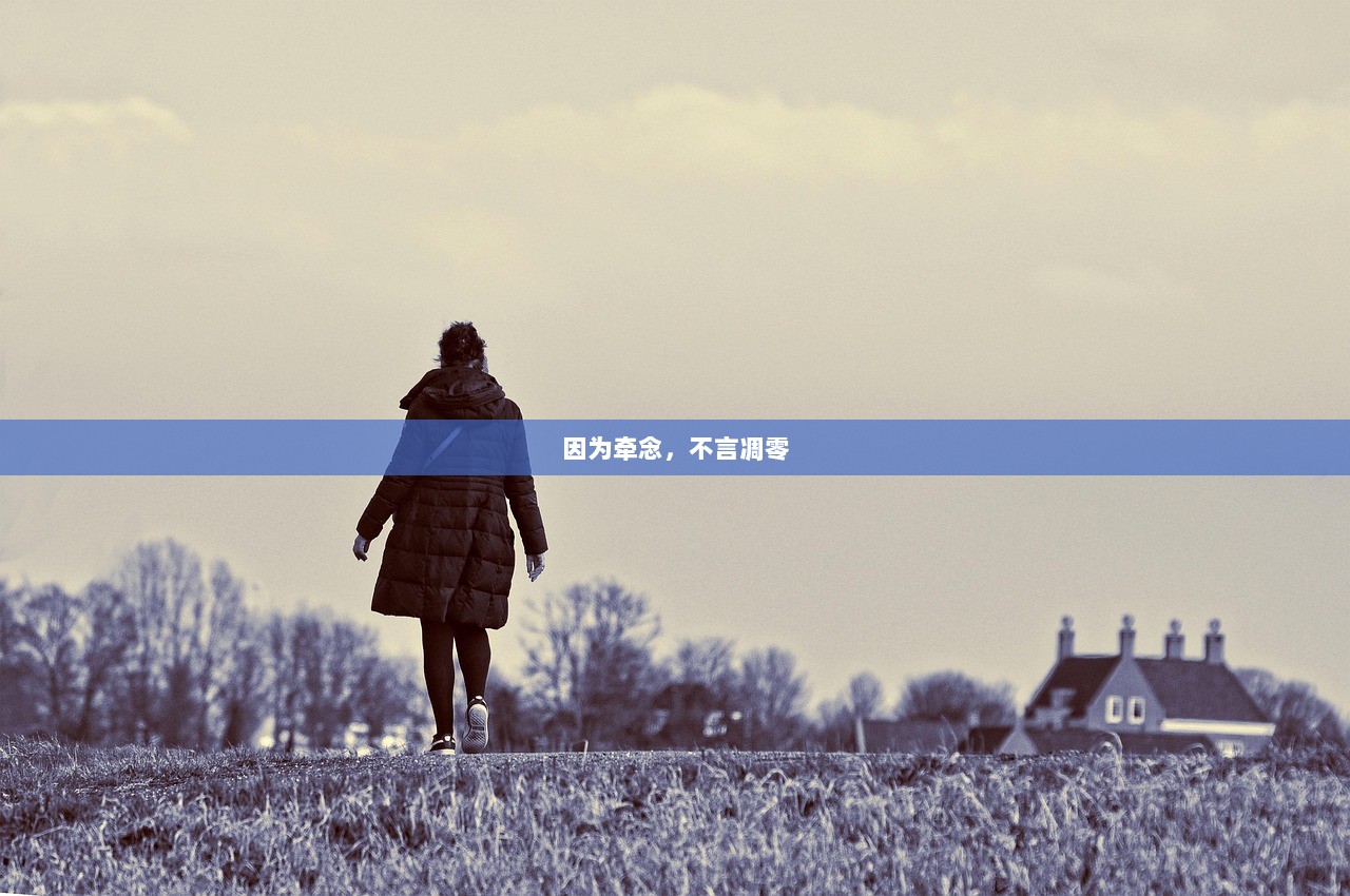 因为牵念，不言凋零