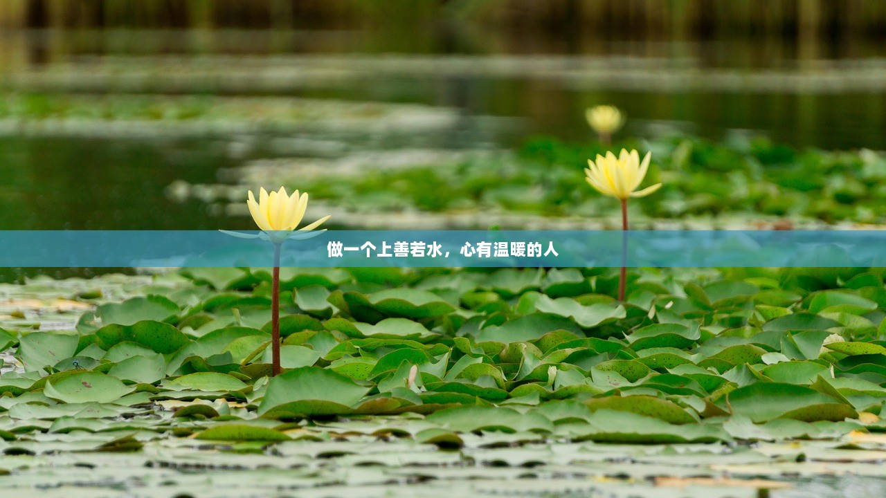 做一个上善若水，心有温暖的人