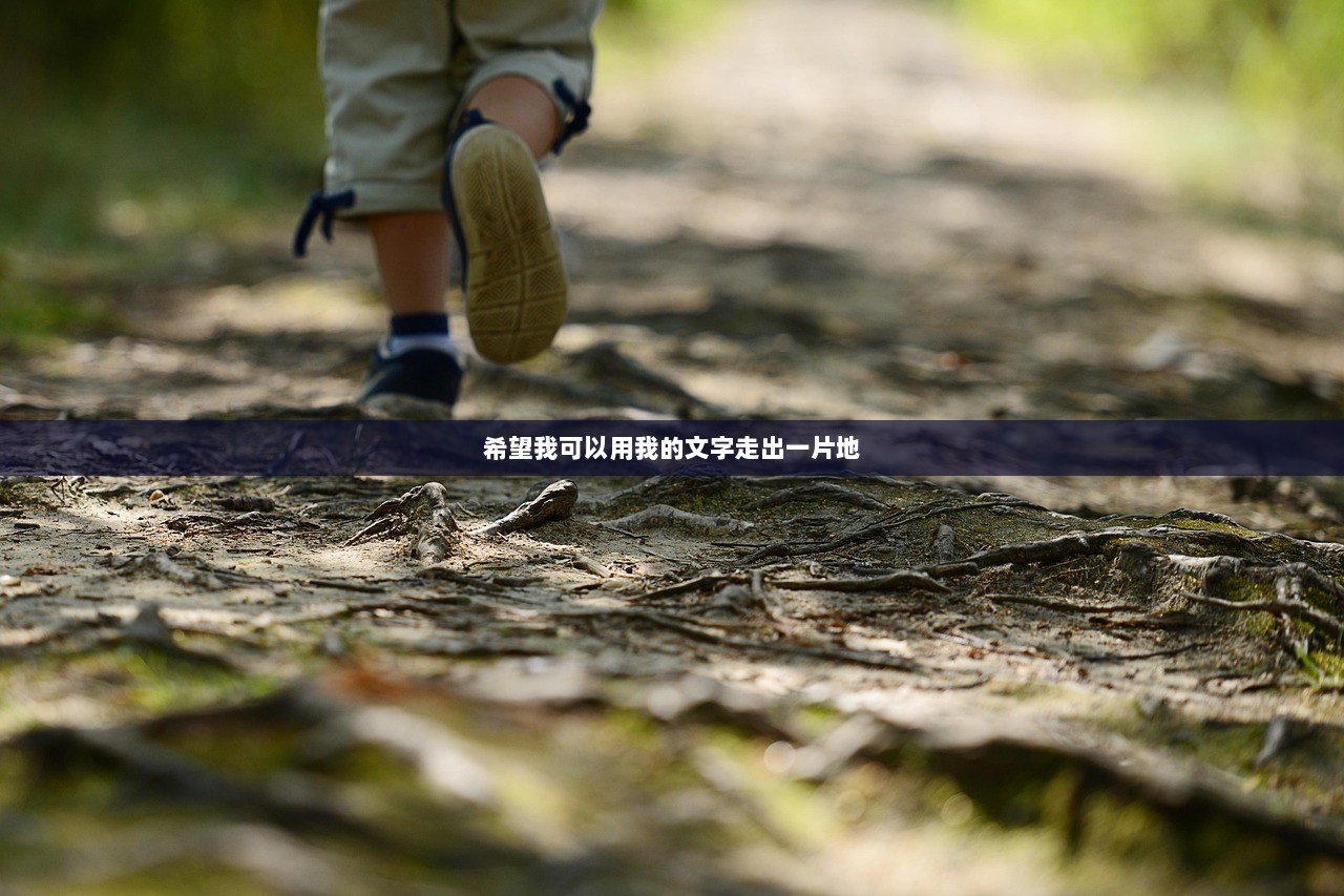 希望我可以用我的文字走出一片地
