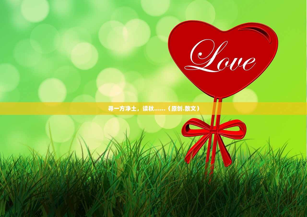 寻一方净土，读秋......（原创.散文）