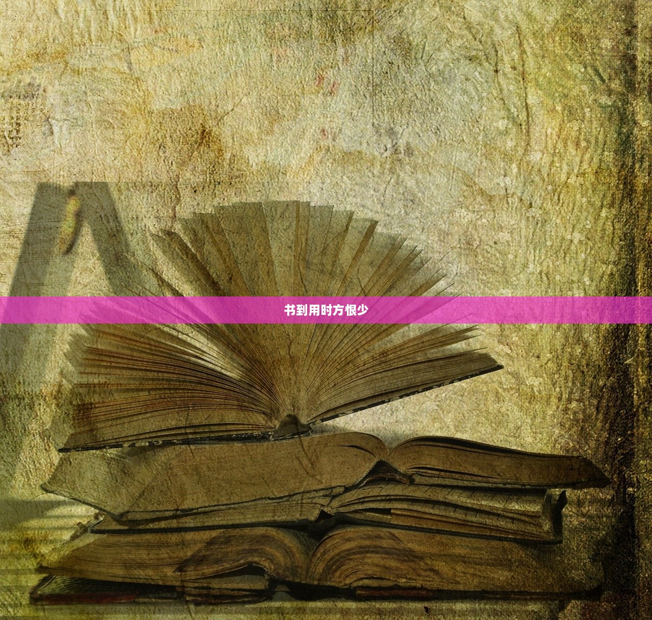 书到用时方恨少