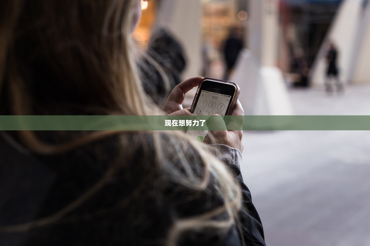 现在想努力了
