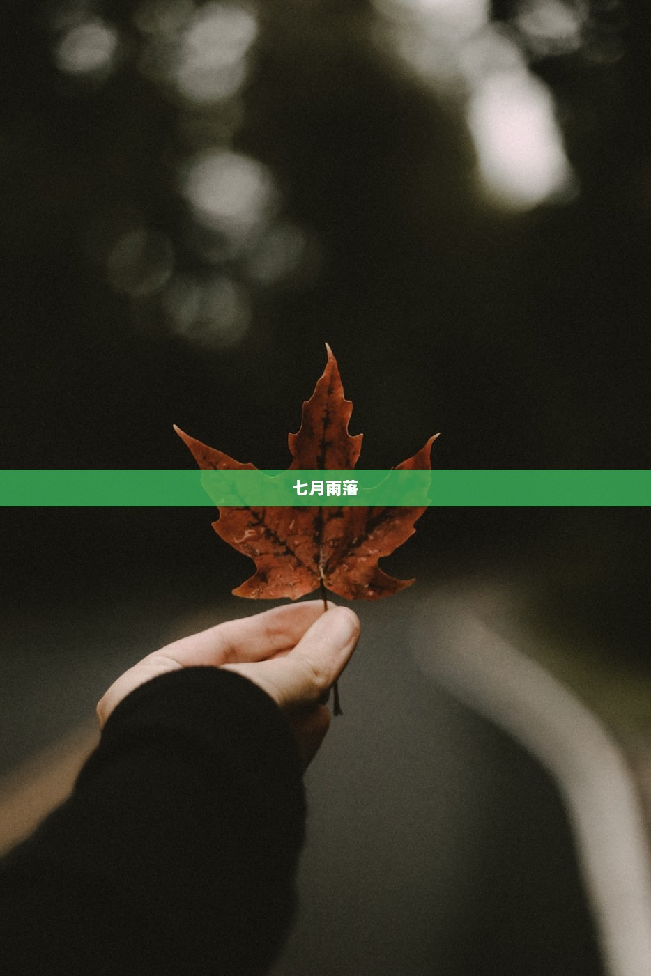 七月雨落