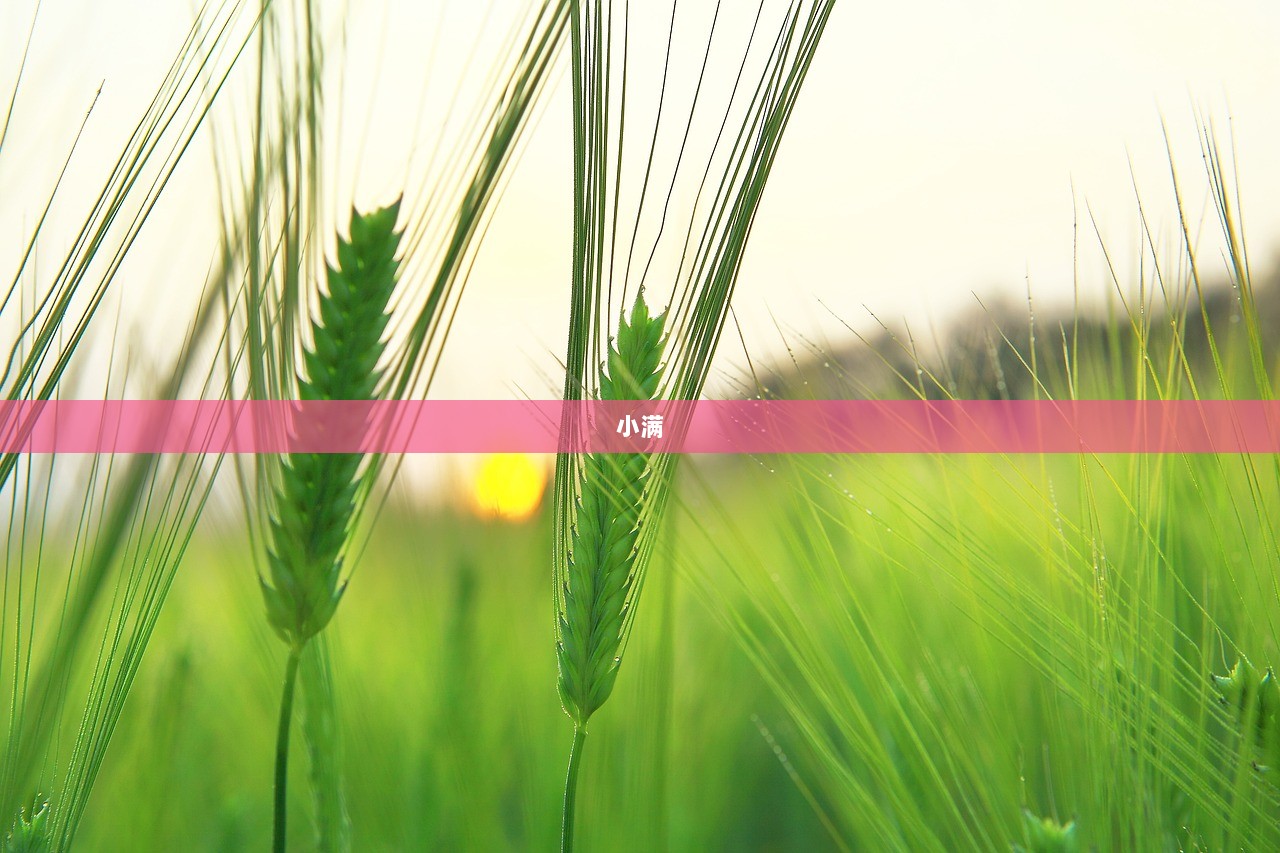 小满  第1张