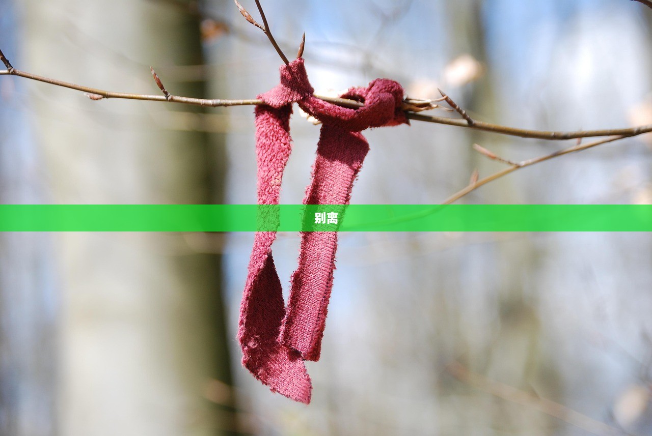 别离