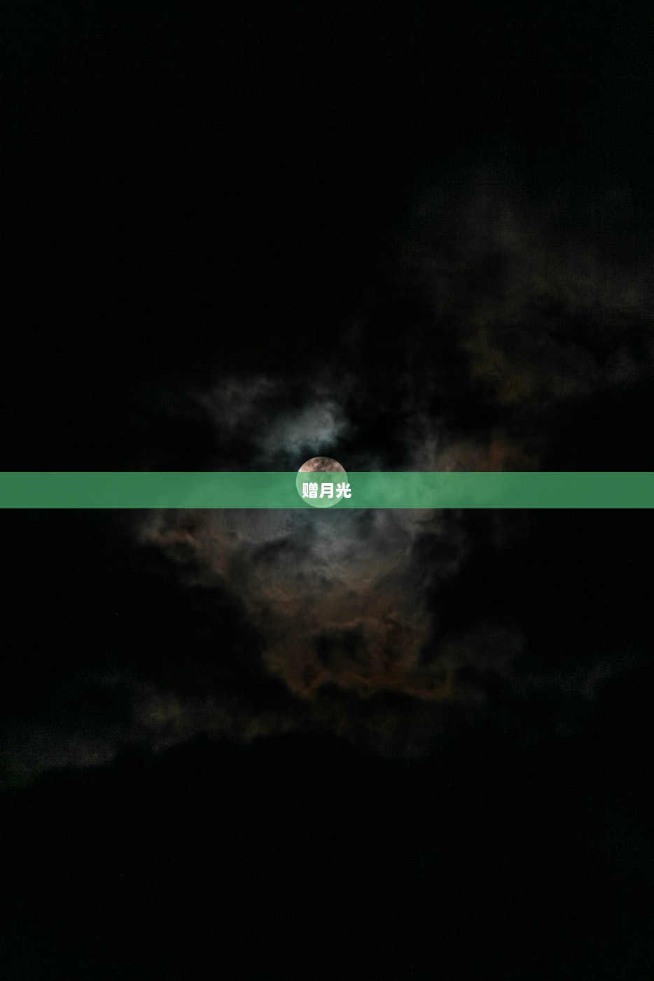 赠月光