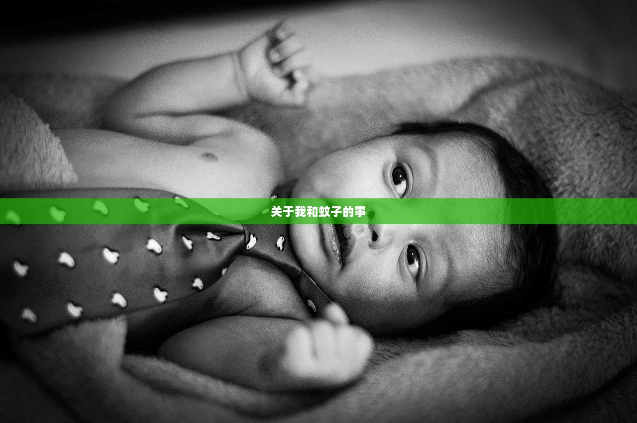 关于我和蚊子的事