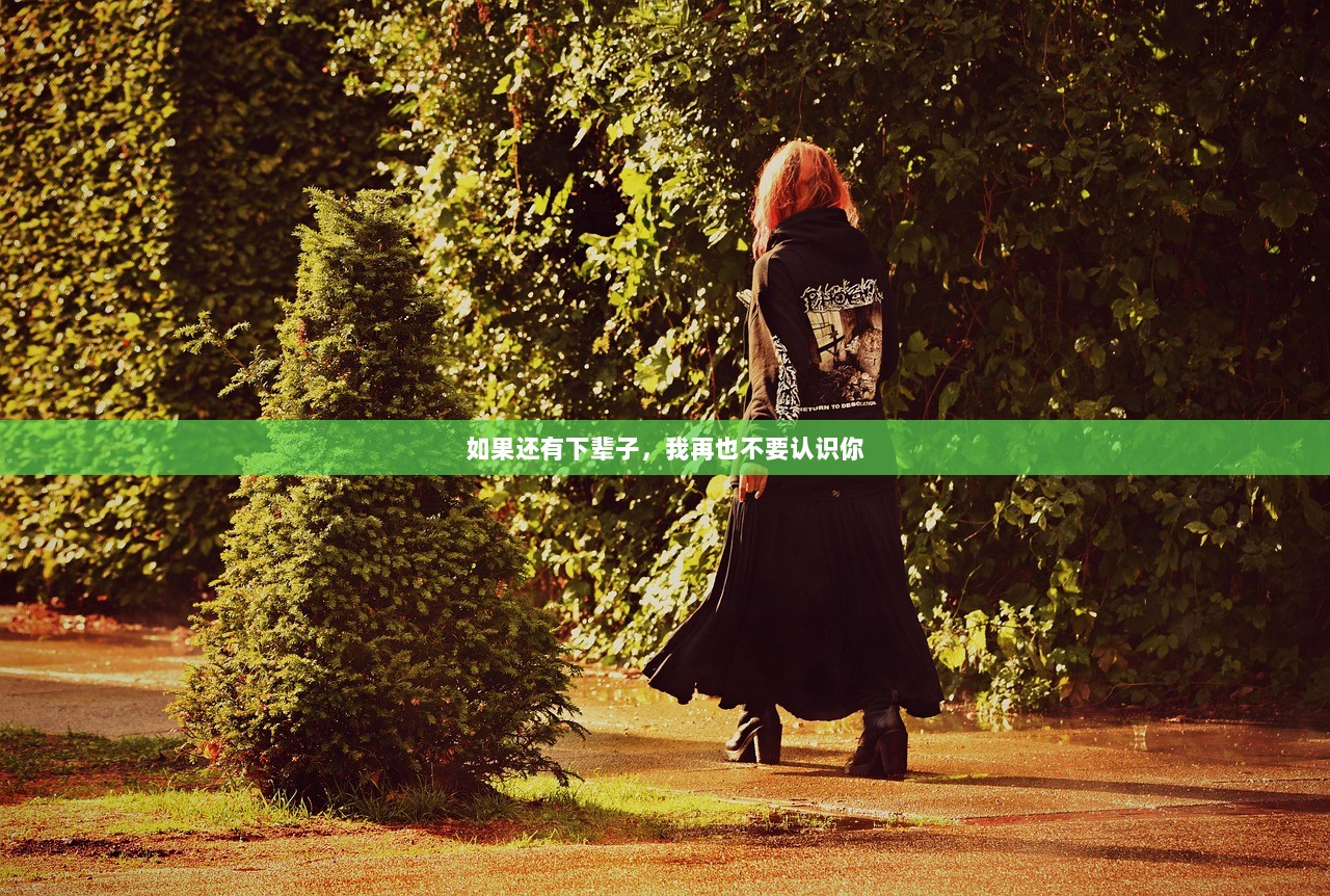 如果还有下辈子,我再也不要认识你 第1张 如果还有下辈子,我再也不要认识你 第1张