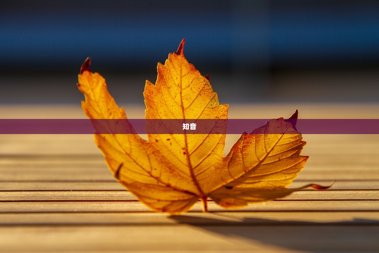 知音 第1张 知音 第1张