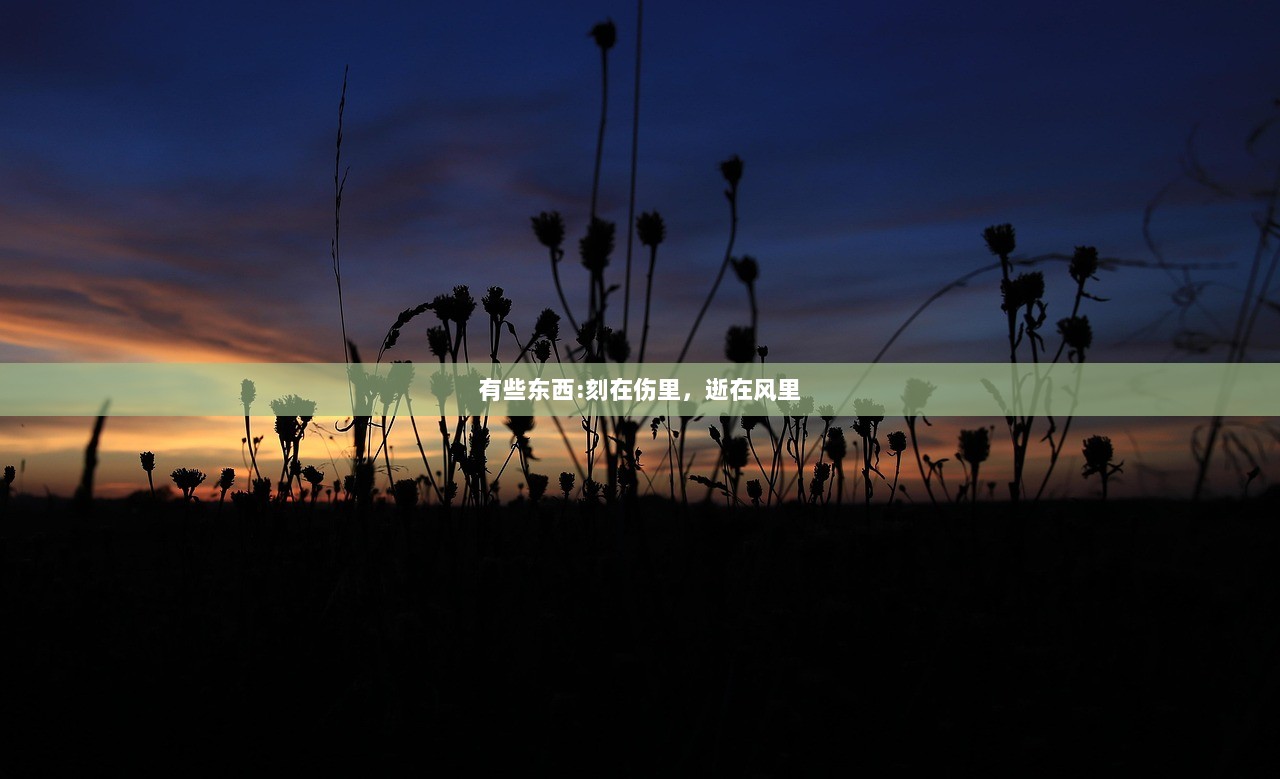 有些东西:刻在伤里，逝在风里