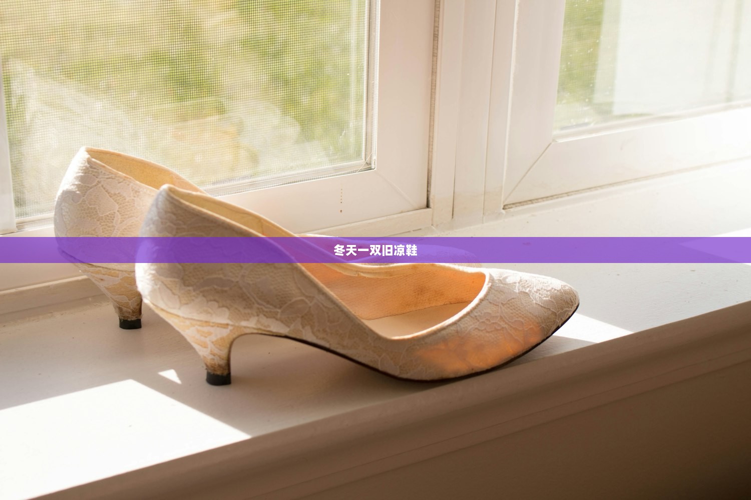 冬天一双旧凉鞋
