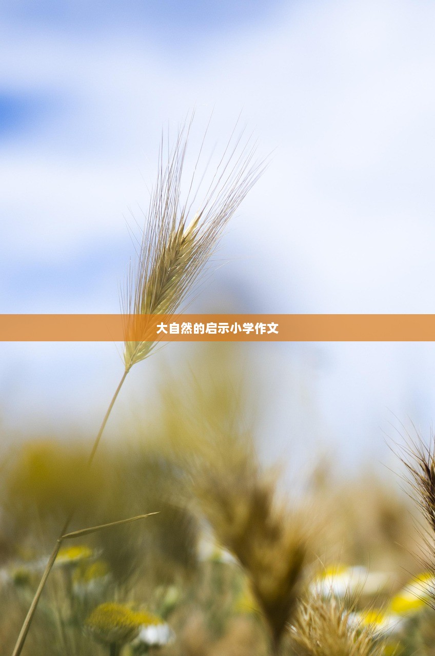 大自然的启示小学作文  第1张