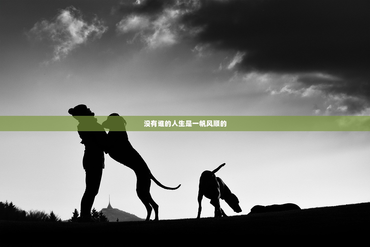 没有谁的人生是一帆风顺的